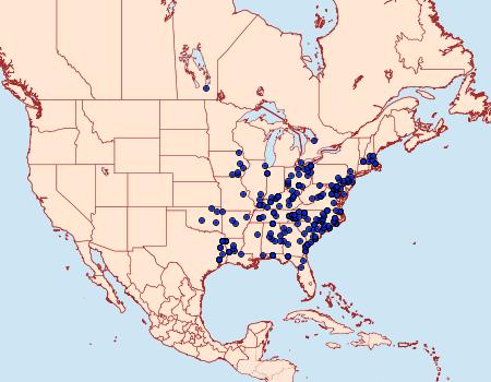 Distribution Data for Hypagyrtis esther