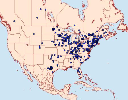 Distribution Data for Phigalia titea