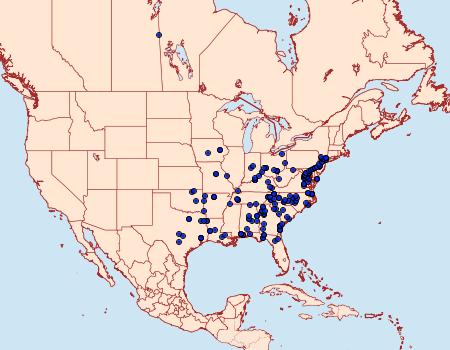 Distribution Data for Phigalia denticulata