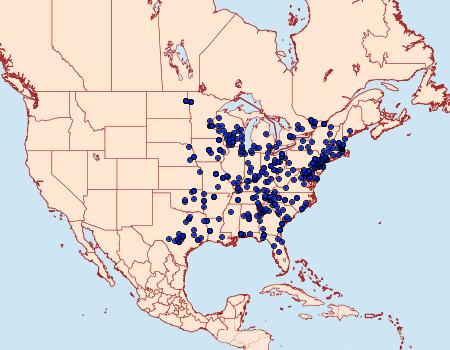 Distribution Data for Phigalia strigataria