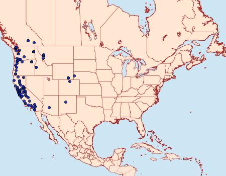 Distribution Data for Phigalia plumogeraria