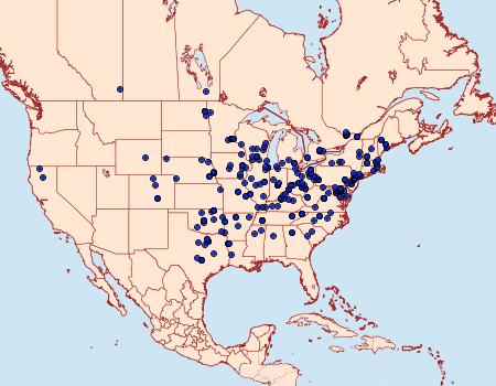 Distribution Data for Paleacrita vernata