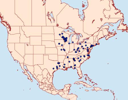 Distribution Data for Paleacrita merriccata