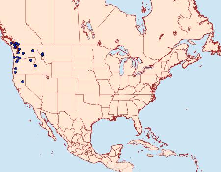 Distribution Data for Erannis vancouverensis