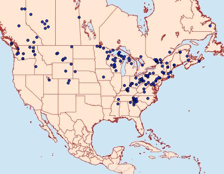 Distribution Data for Lomographa semiclarata