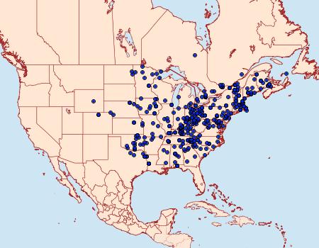 Distribution Data for Lomographa vestaliata