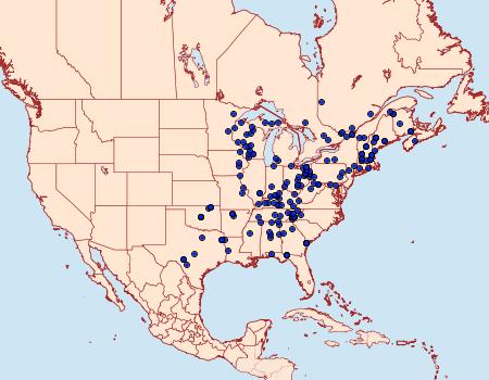 Distribution Data for Lomographa glomeraria