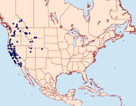 Distribution Data for Sericosema juturnaria