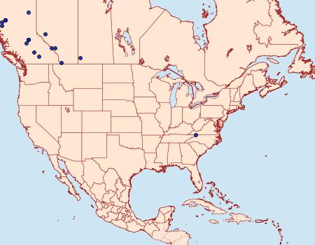 Distribution Data for Cabera exanthemata