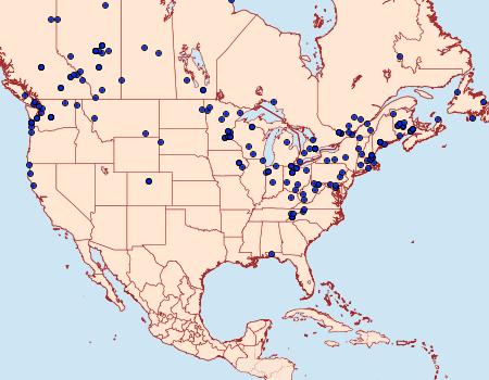 Distribution Data for Cabera erythemaria