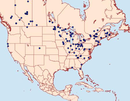 Distribution Data for Cabera variolaria