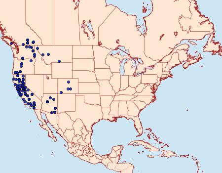 Distribution Data for Drepanulatrix unicalcararia