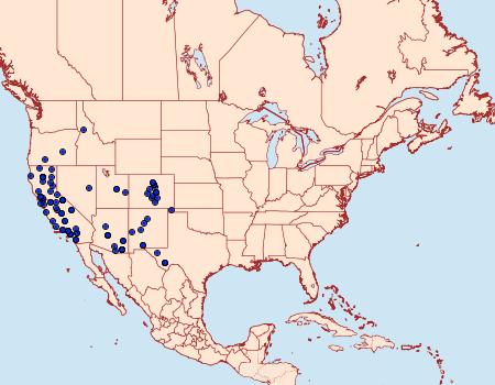 Distribution Data for Drepanulatrix bifilata