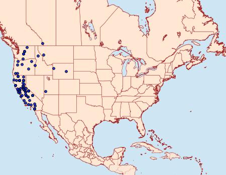 Distribution Data for Drepanulatrix carnearia