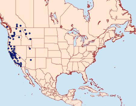 Distribution Data for Drepanulatrix falcataria