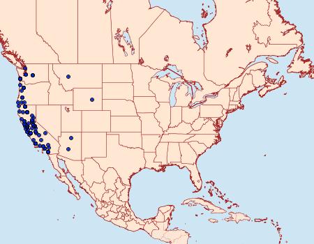 Distribution Data for Drepanulatrix monicaria