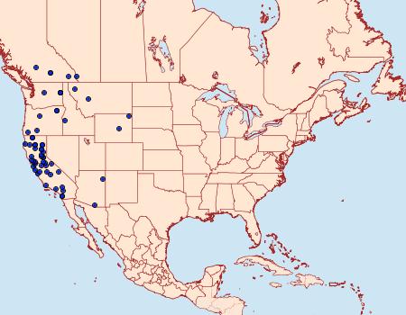 Distribution Data for Apodrepanulatrix litaria