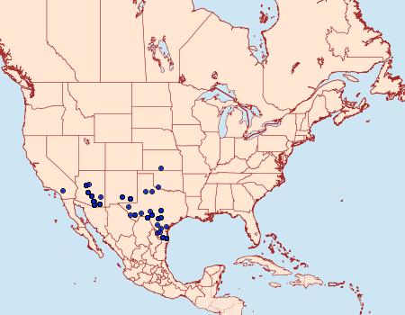 Distribution Data for Numia bicoloraria