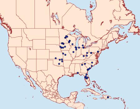 Distribution Data for Erastria coloraria