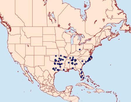 Distribution Data for Erastria cruentaria