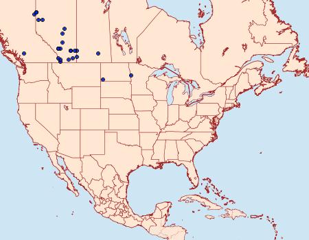 Distribution Data for Aspitates aberrata