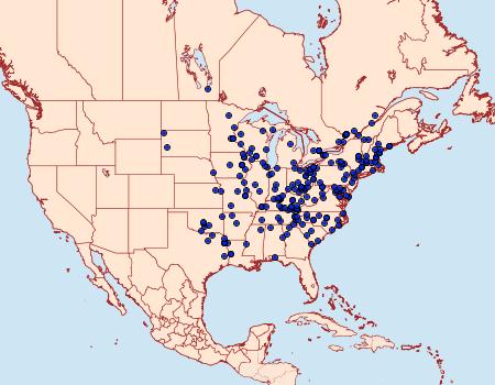 Distribution Data for Lytrosis unitaria