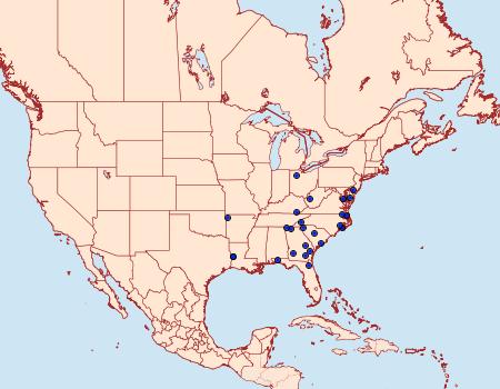 Distribution Data for Lytrosis sinuosa