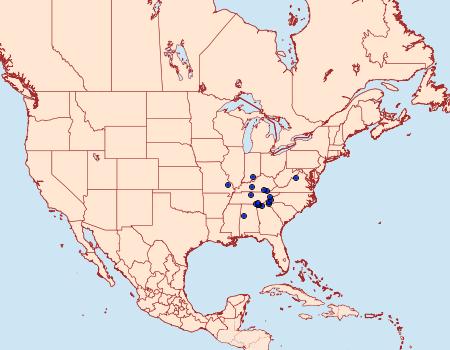 Distribution Data for Lytrosis permagnaria