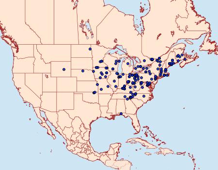 Distribution Data for Euchlaena serrata