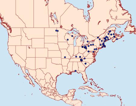 Distribution Data for Euchlaena muzaria