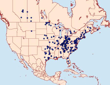 Distribution Data for Euchlaena obtusaria