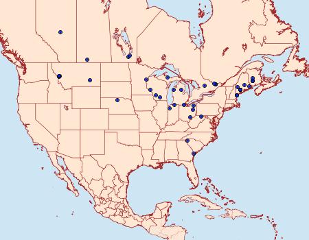 Distribution Data for Euchlaena effecta