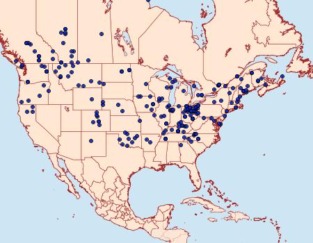 Distribution Data for Euchlaena johnsonaria