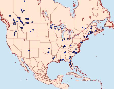 Distribution Data for Euchlaena madusaria