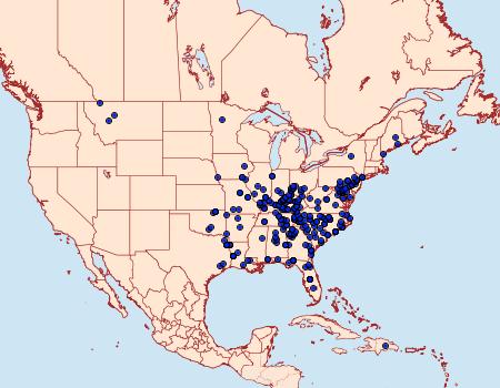 Distribution Data for Euchlaena amoenaria