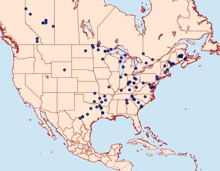 Distribution Data for Euchlaena marginaria