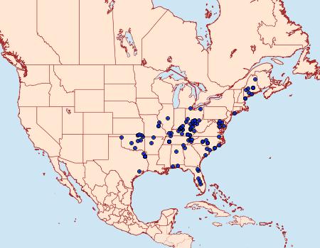 Distribution Data for Euchlaena deductaria