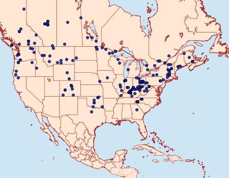 Distribution Data for Euchlaena tigrinaria