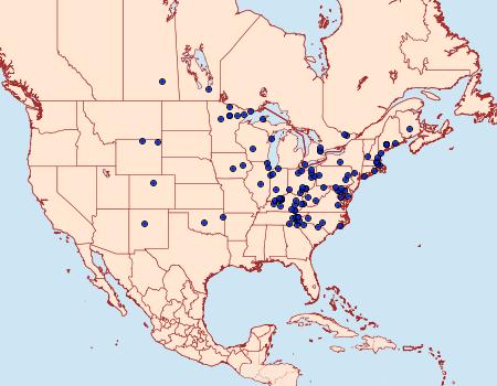 Distribution Data for Euchlaena irraria