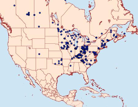 Distribution Data for Xanthotype urticaria