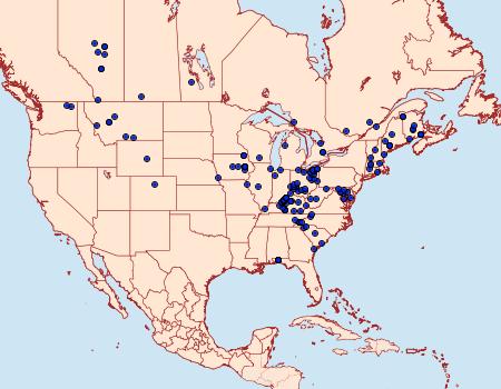 Distribution Data for Xanthotype sospeta