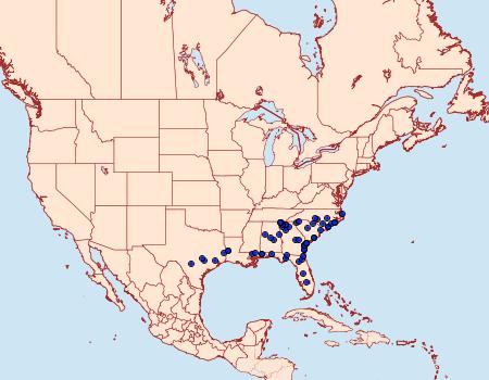 Distribution Data for Cymatophora approximaria