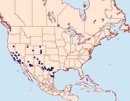 Distribution Data for Pero meskaria