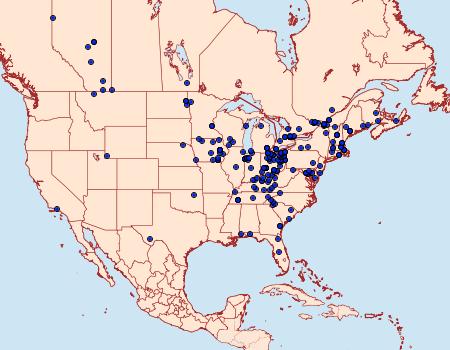 Distribution Data for Pero honestaria