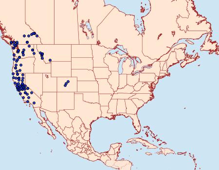 Distribution Data for Pero mizon