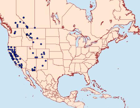 Distribution Data for Pero occidentalis