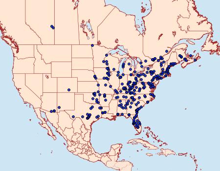 Distribution Data for Phaeoura quernaria