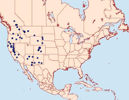 Distribution Data for Phaeoura mexicanaria