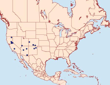 Distribution Data for Phaeoura perfidaria