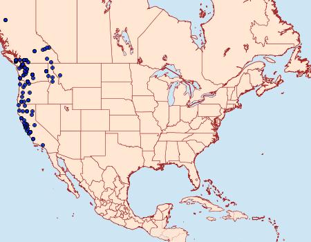 Distribution Data for Gabriola dyari